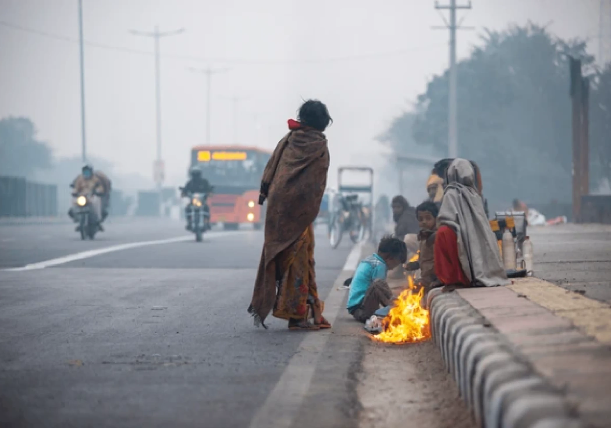 IMD Warns of Cold Wave in Punjab, North India; Dense Fog to Disrupt Travel